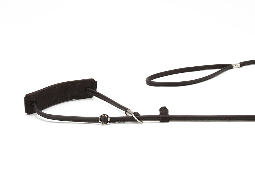 Showleine Fein verstellbar