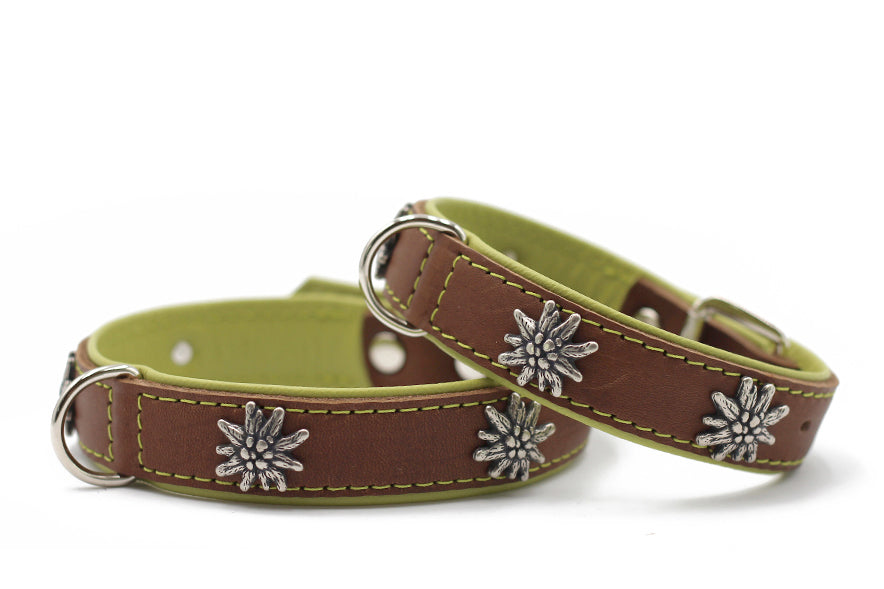 Halsband Edelweiss
