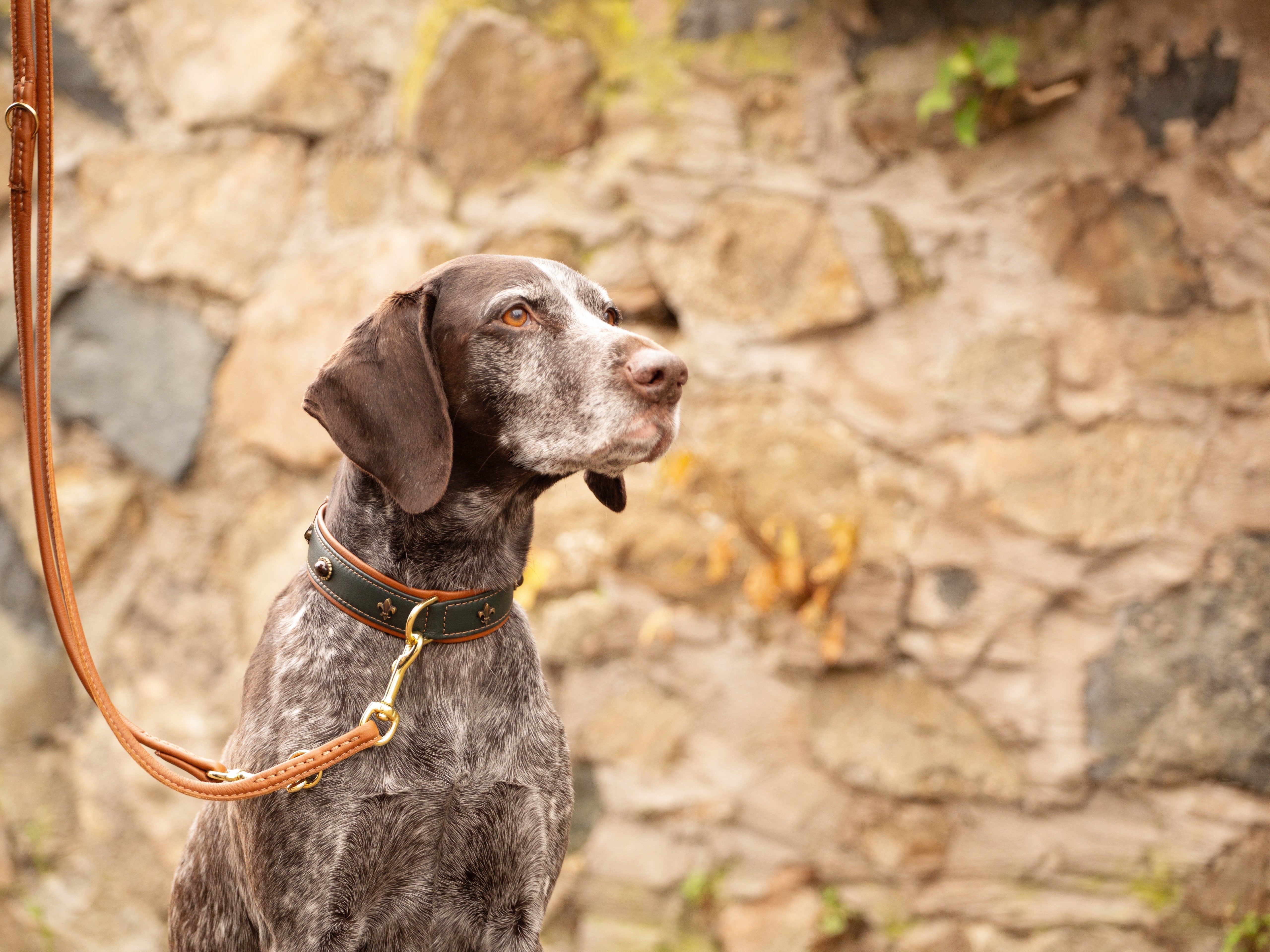 Halsband Lord & Lady