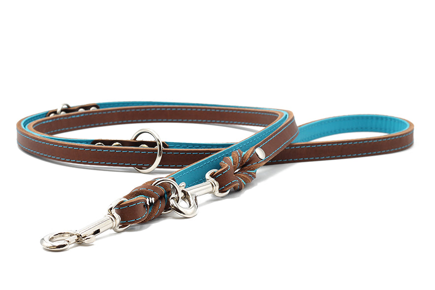 Lederleine Klassik Premium 2m Mokka