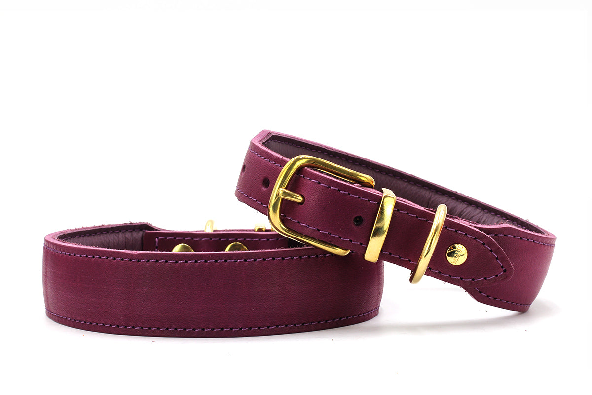 Halsband Mono Pop Herbst Edition