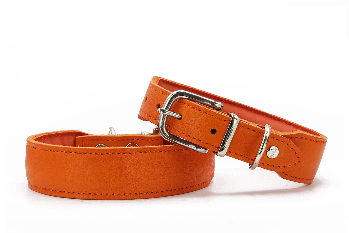 Halsband Mono Pop Herbst Edition