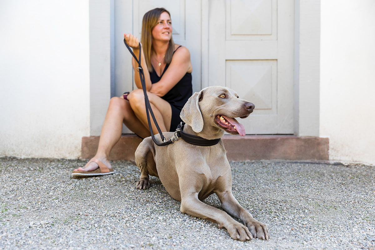 Halsband Klassik Soft