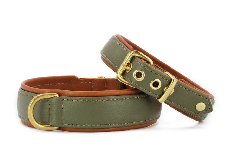 Halsband Klassik Exklusiv