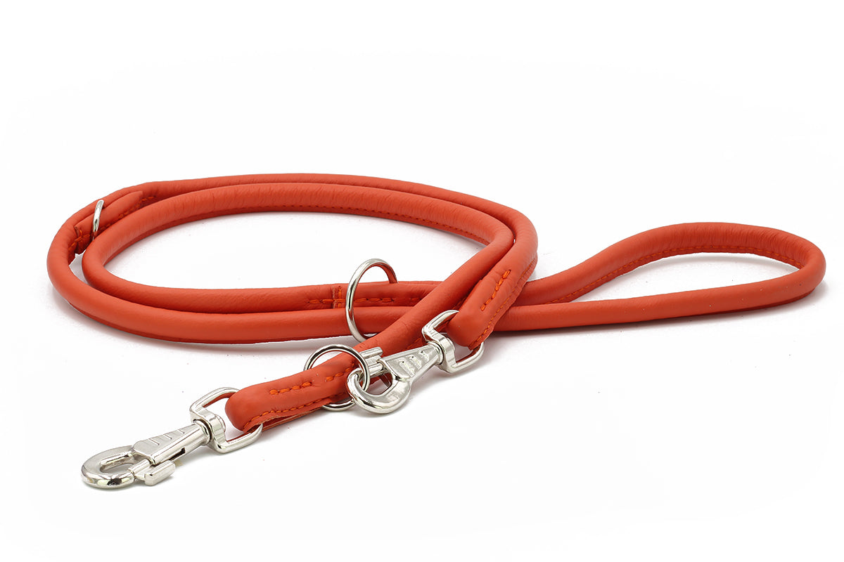 Lederleine Rundgenäht Holi Color