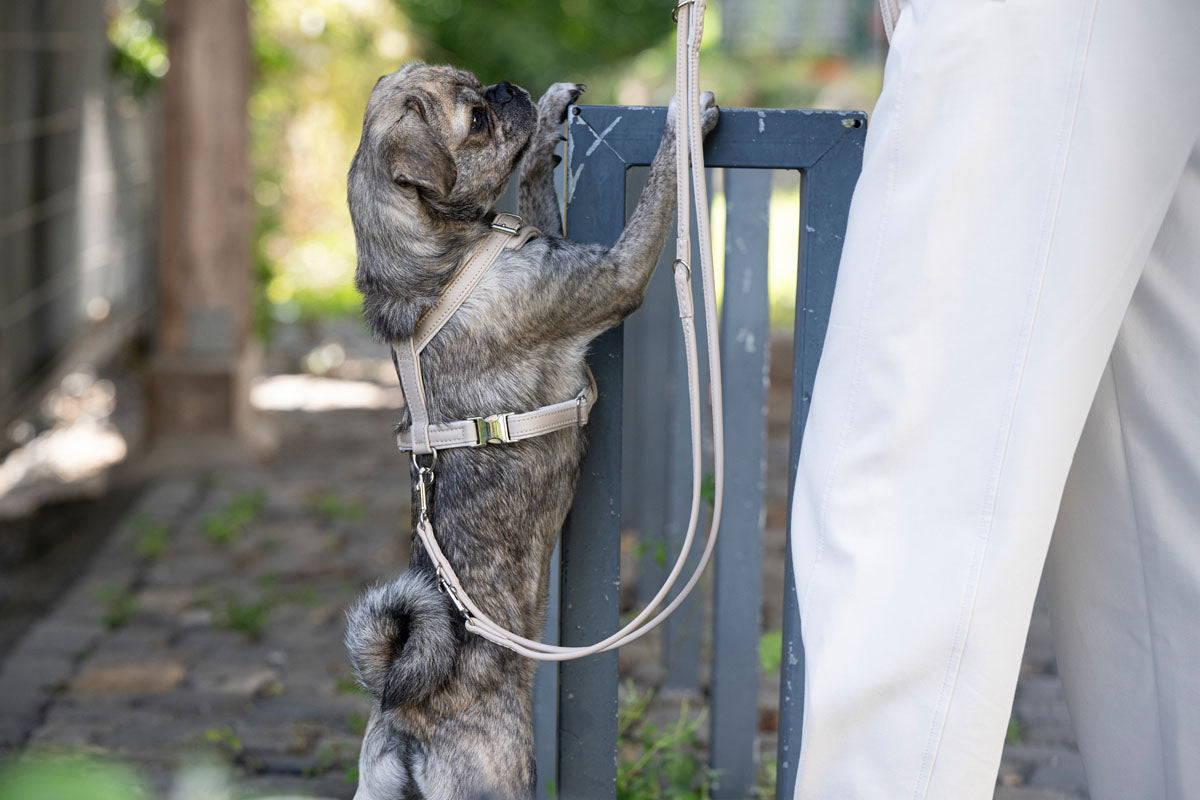 Lederleine Rundgenäht 2m Silber