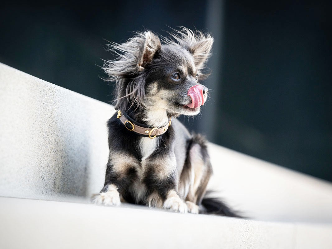 Halsband Mini Dark Diamond