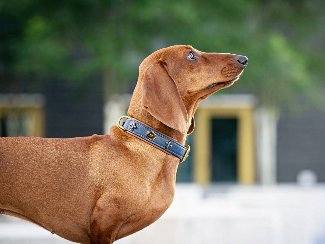 Halsband Lord & Lady