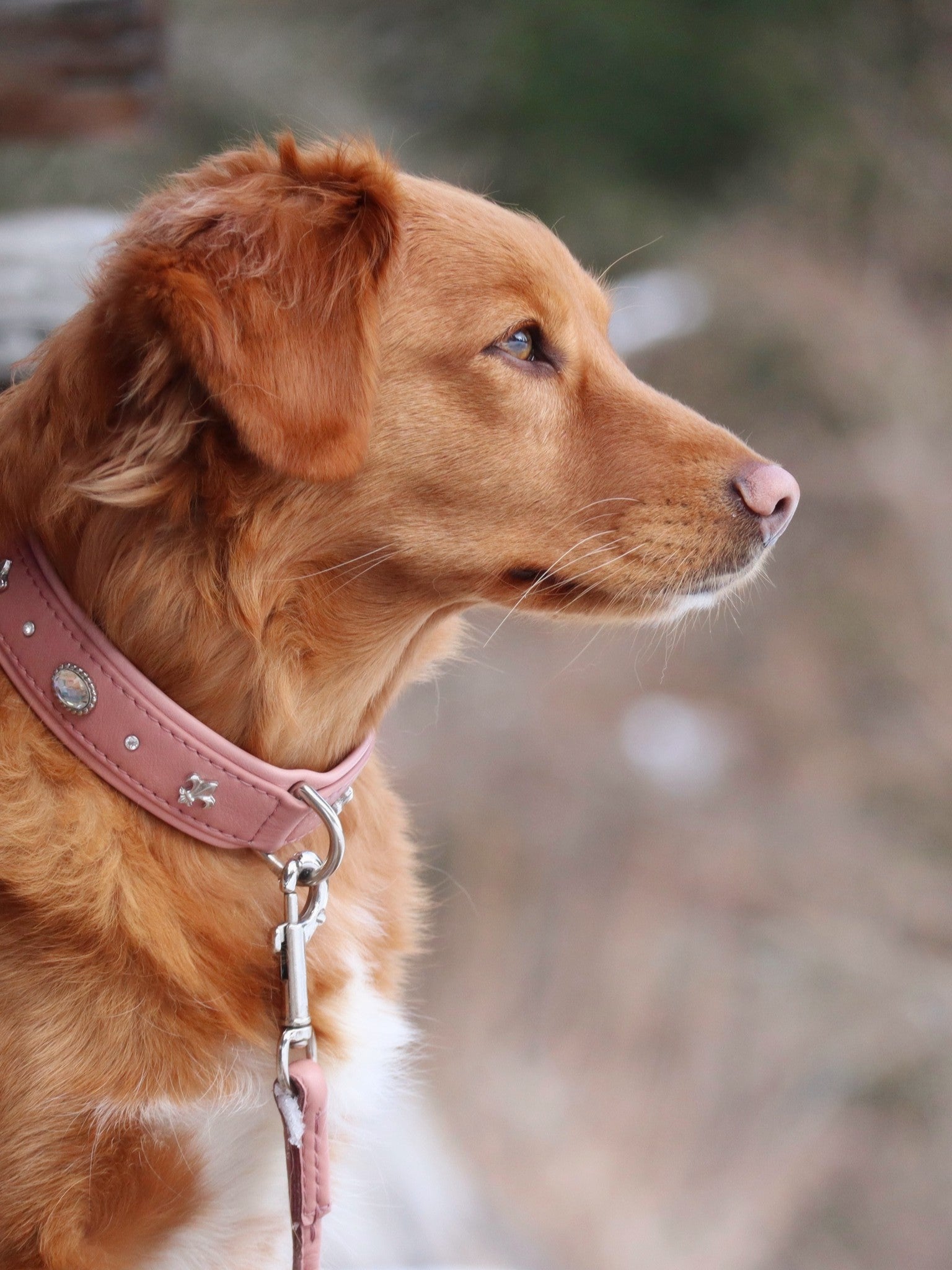 Halsband Nesthäkchen