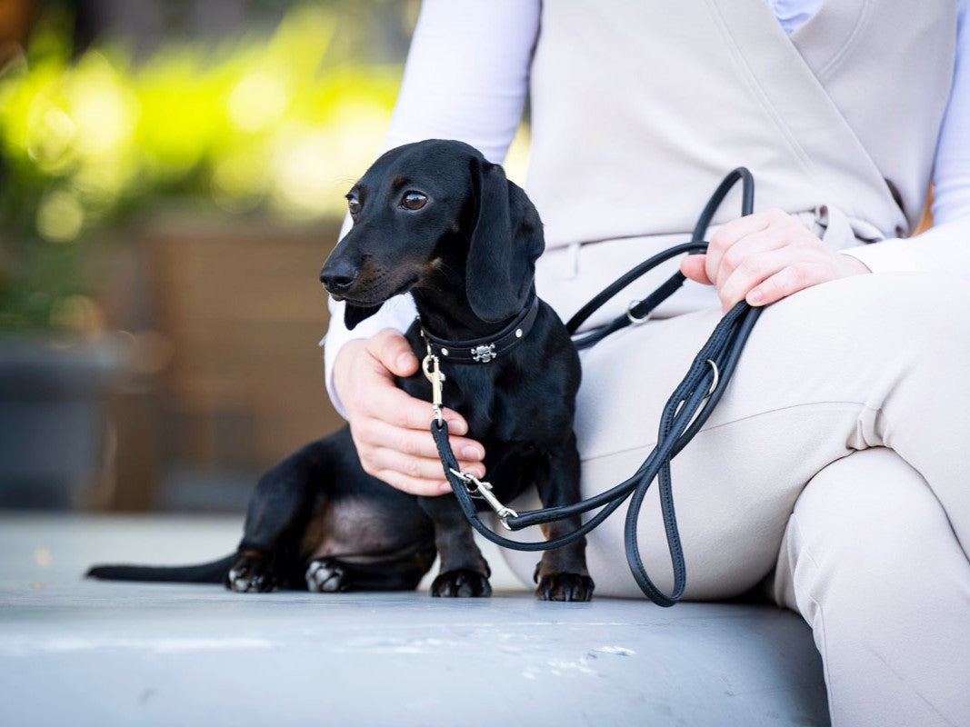 Halsband Mini Totenkopf