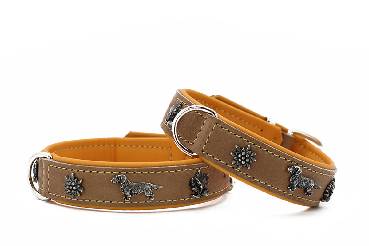 Halsband Klassik Premium Dackel