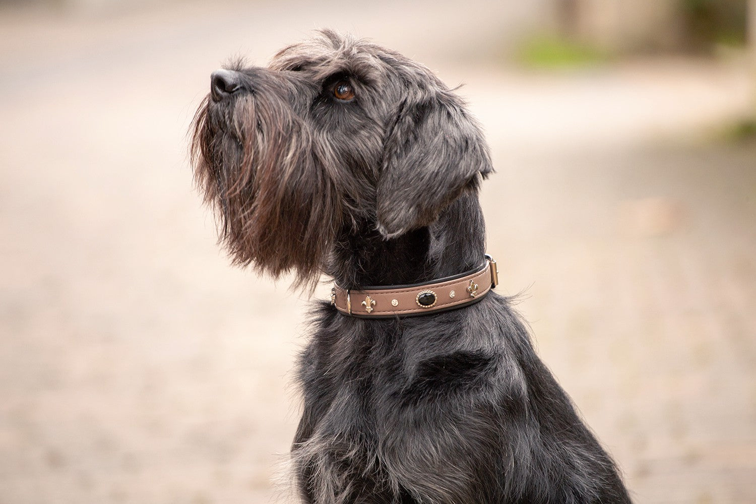 Halsband Dark Diamond