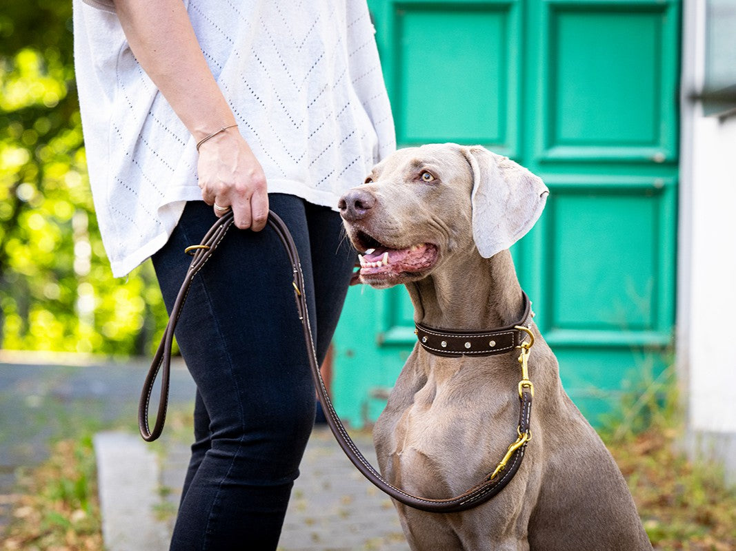 Halsband Old English