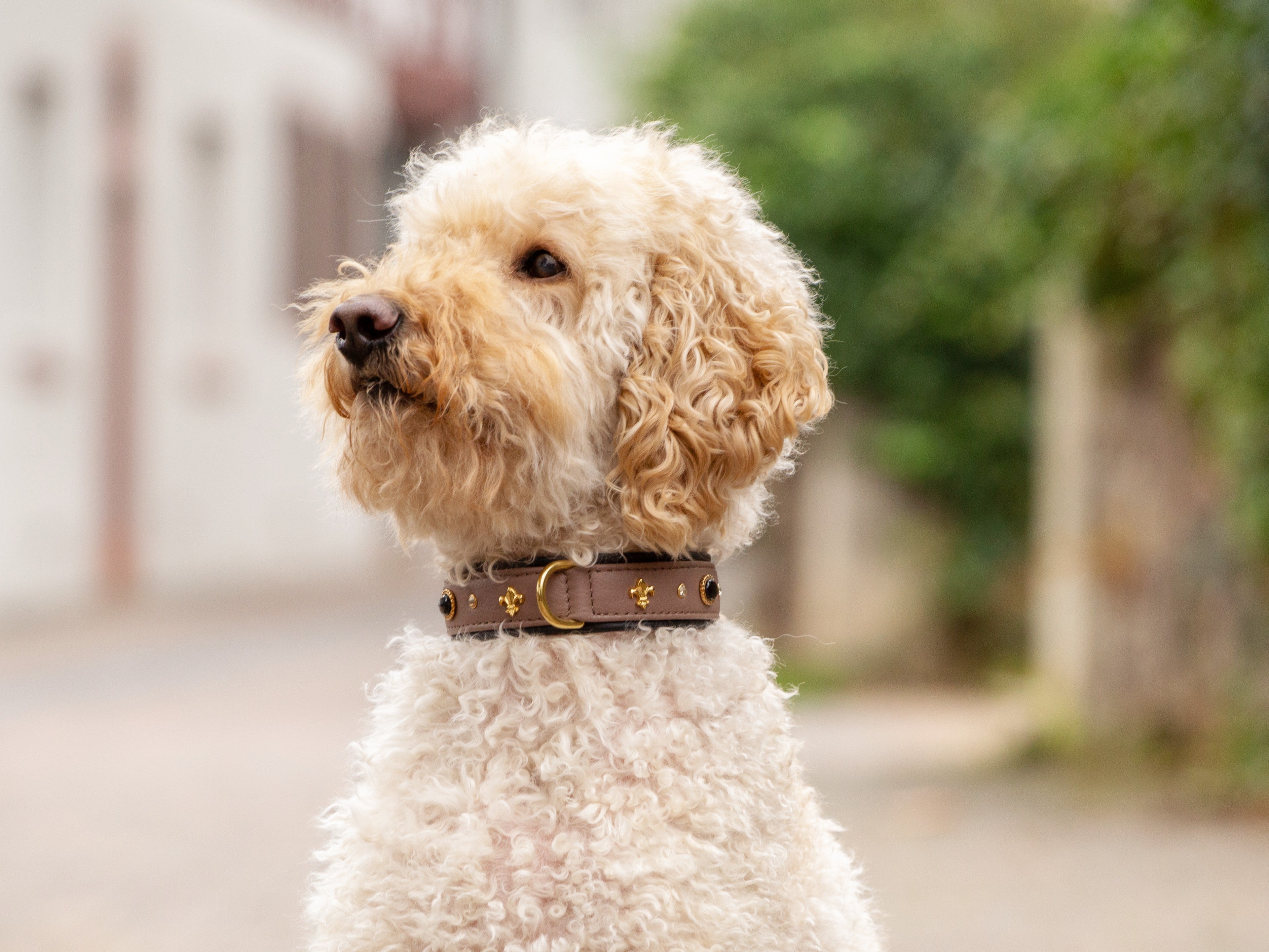 Halsband Dark Diamond