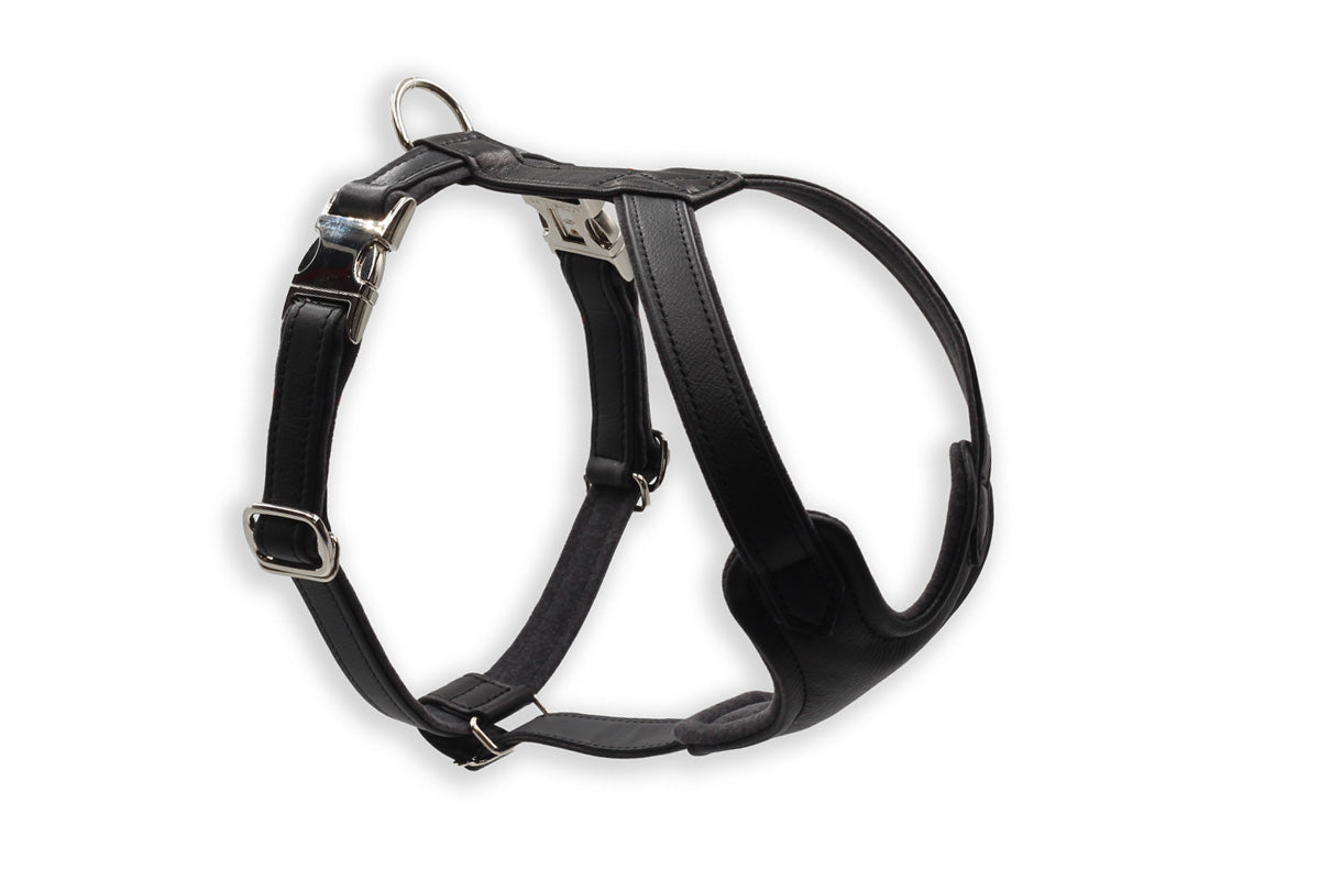 Ledergeschirr Silber