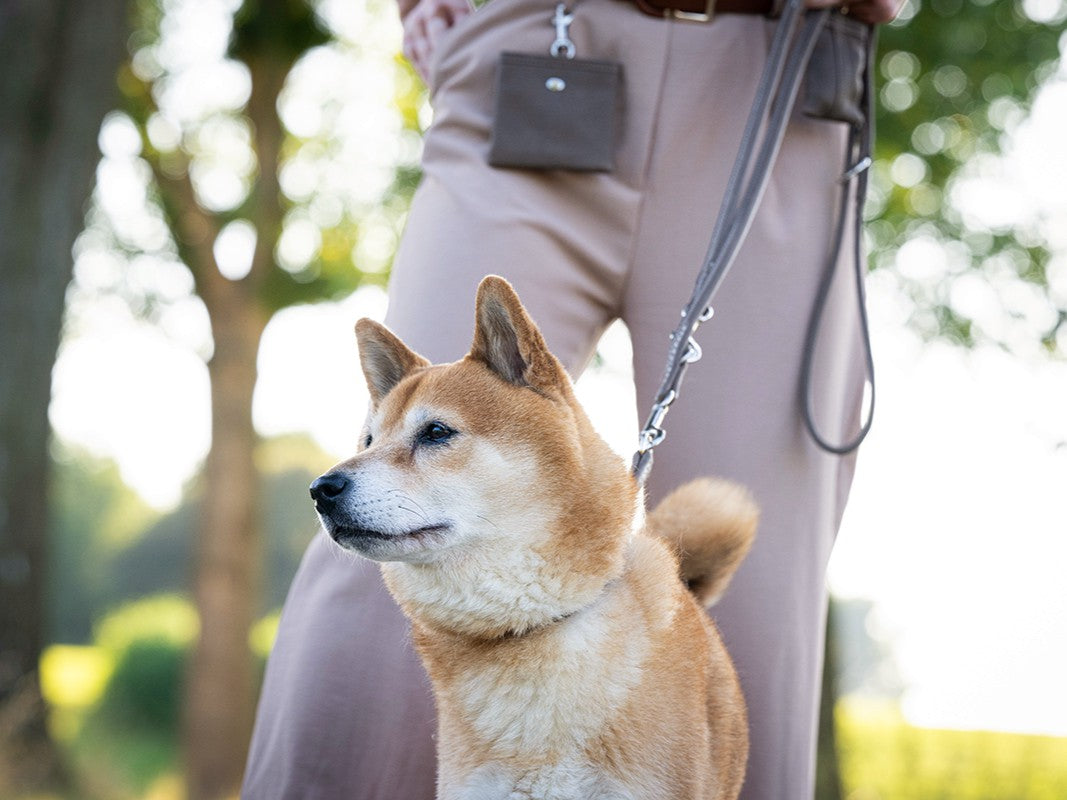 Lederleine Rundgenäht 2m Silber