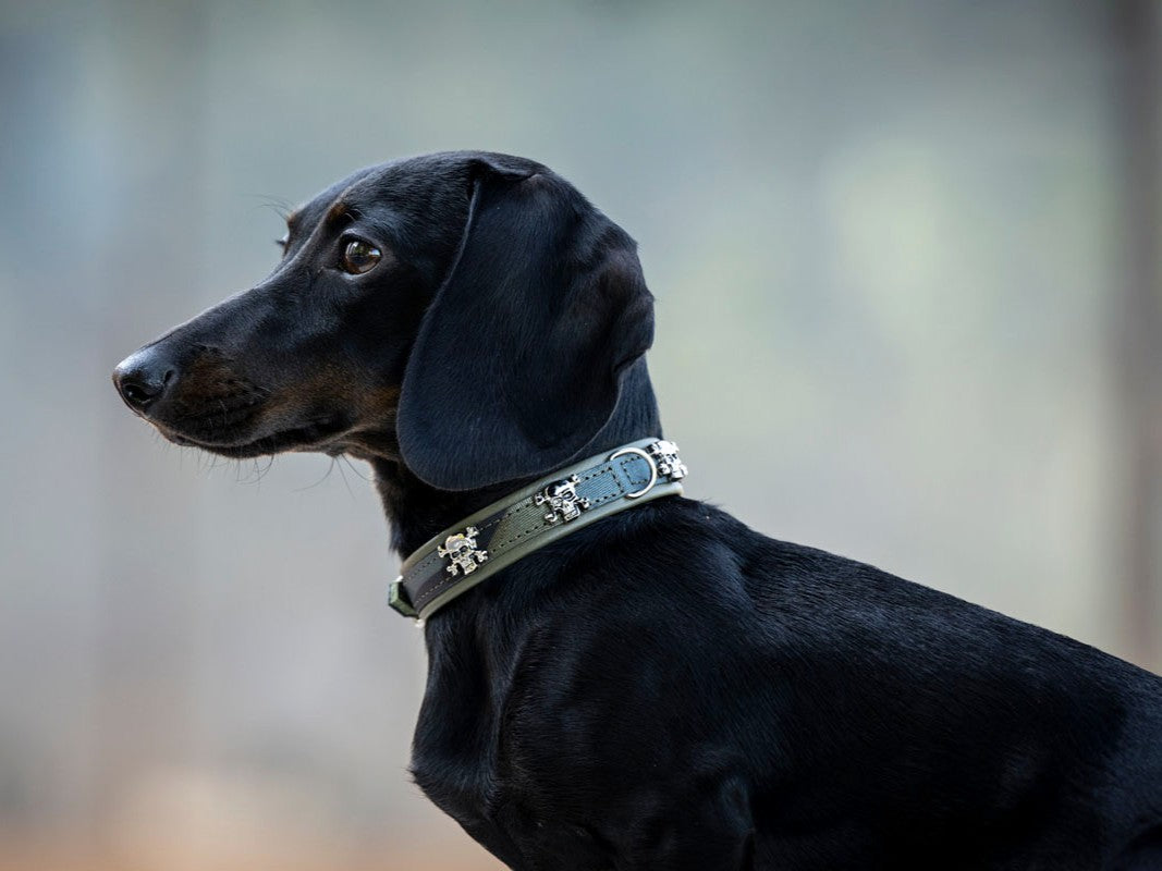 Halsband Mini Wild Army