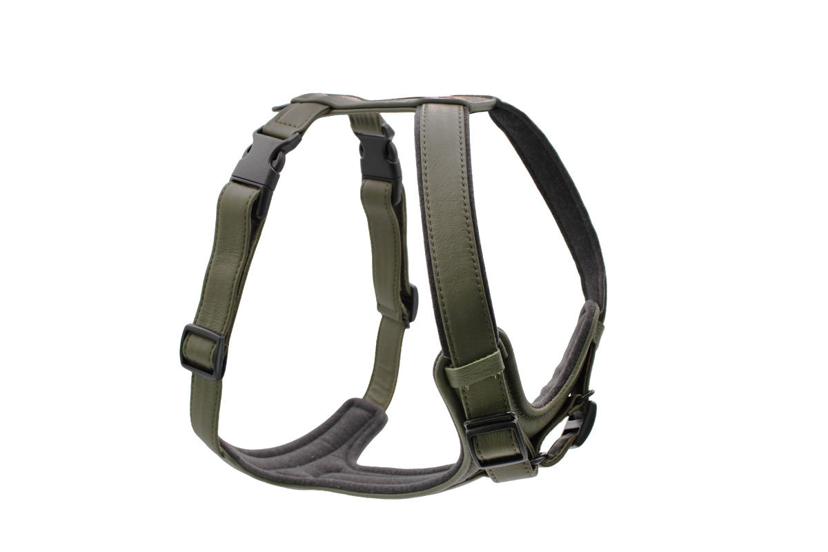 Ledergeschirr zweifach verstellbar
