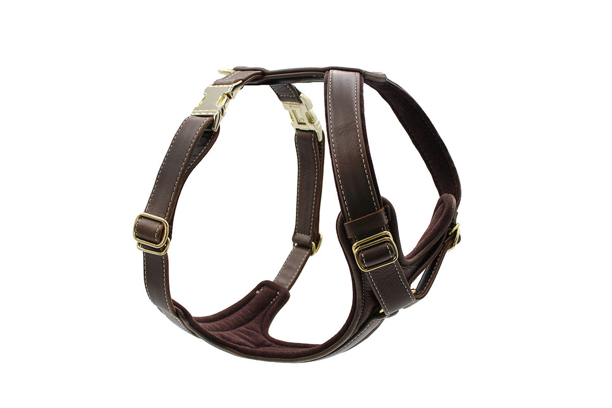 Ledergeschirr zweifach verstellbar