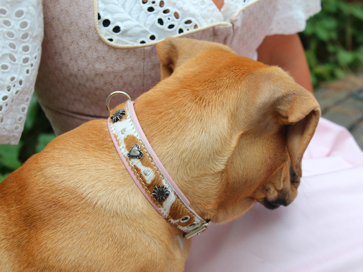 Halsband Wiesengaudi