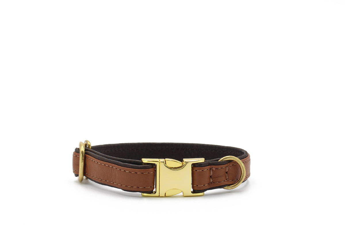 Halsband Mini Klick