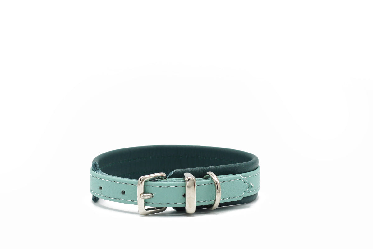 Halsband Spring Break
