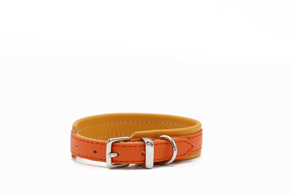 Halsband Spring Break