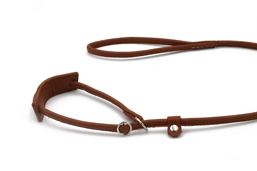 Showleine verstellbar für große Hunde