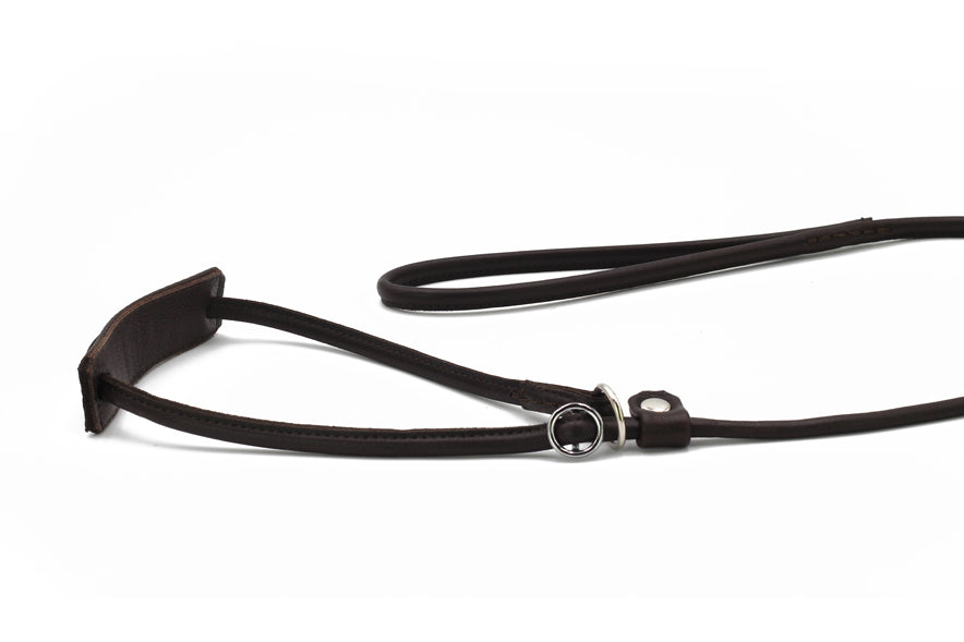 Showleine verstellbar für große Hunde