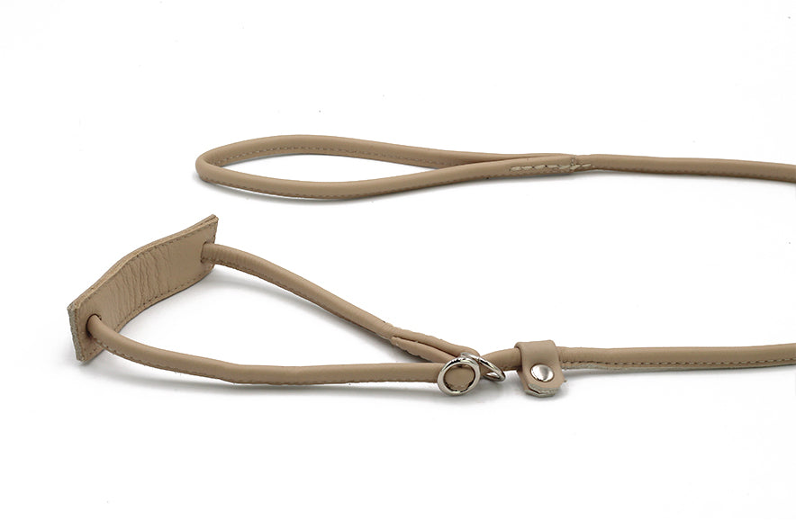 Showleine verstellbar für große Hunde