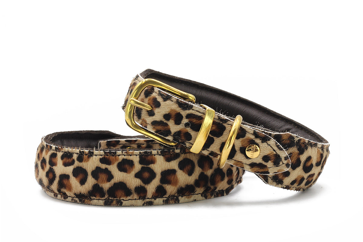 Halsband Leopard